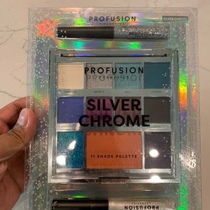 Silver Chrome 11 Shade Palette by Profusion
